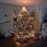 Jason M Rodenbaugh's Christmas tree from Hatfield 