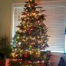Weihnachtsbaum von William Burnet (Antioch,  California, USA )
