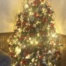 Jessica S's Christmas tree from Portage, PA, USA