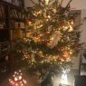 Weihnachtsbaum von Chevalier (Angers, France)