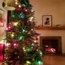 Weihnachtsbaum von Heffy (Vancouver, Canada)