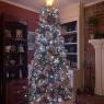 Jill  Monroe's Christmas tree from Summerville, SC, USA