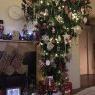 Julie Schollick's Christmas tree from York, England 