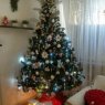 Abu bibi's Christmas tree from Rosario, Argentina