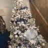 Crystal Foy-Odum's Christmas tree from Hubert, NC 