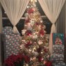 Anastasia 's Christmas tree from Miami, Florida
