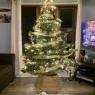 Weihnachtsbaum von Amanda Dunskis (Ingleside, Illinois )