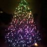 Andreas 's Christmas tree from Dortmund