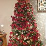 Weihnachtsbaum von Terry (Belfast )