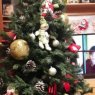 Nyc's Christmas tree from Zaragoza