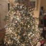 Norma Thompson's Christmas tree from Greensboro, North Carolina
