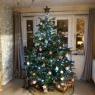 Weihnachtsbaum von Debby Williams (Leeds, West Yorkshire, U.K)