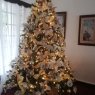Lidia Morales Dejud's Christmas tree from Boquete Chiriquí Panamá