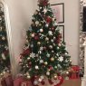 Franvegveg's Christmas tree from LAS PALMAS, ISLAS CANARIAS ESPA?A 