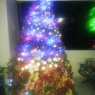 Weihnachtsbaum von AMARILIS OCHEA Y FAMILIA (CARACAS, VENEZUELA)