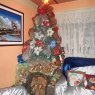 Arbol de Navidad Familia Escobar Castro's Christmas tree from venezuela