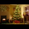 Linda Bridge's Christmas tree from Irelabd