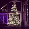 Jenny's Christmas tree from Ingonish, Nova Scotia, Canada