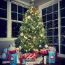 Weihnachtsbaum von Andy H  (Ottawa, Illinois )