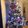 Katie Edler's Christmas tree from Australia 