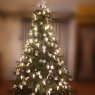 Genesis Fariña's Christmas tree from Tenerife