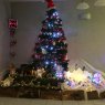 Bnj63 's Christmas tree from Clermont-Ferrand 