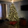 Joshua Cummings's Christmas tree from Morgantown Pa