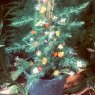 Weihnachtsbaum von Angela Small (Cairns Queensland Australia)