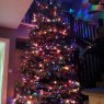 Sapin de Noël de xmas tree (UK)