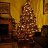 Grant C's Christmas tree from Glasgow, Scotland 