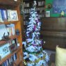 Angeles Nicolini's Christmas tree from Gualeguaychu, Entre Rios, Argentina