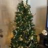Monica W.'s Christmas tree from Pa