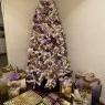 Tori's Christmas tree from Bastrop,Tx