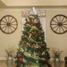 Christmas on the farm's Christmas tree from Abilene texas