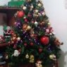 Weihnachtsbaum von Mi navidad (Bogotá Colombia)