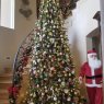 Maria Franklin 's Christmas tree from El Paso Texas US