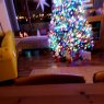 MamaGem's Christmas tree from Northern Ireland