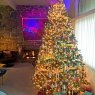 Weihnachtsbaum von John Pierce (Palm Springs, CA)