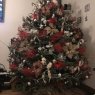 Stephanie Lampereur 's Christmas tree from Francis Creek, Wi, USA