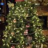 Trent Nunnelee's Christmas tree from Monroe, LA