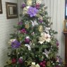 Angelina Zornoza Gutierrez's Christmas tree from Veracruz, México
