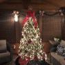 Trish's Christmas tree from Leesburg, GA, USA