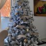 Familia Mendoza Solís 's Christmas tree from Acapulco, Mexico
