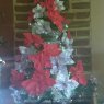 Cecilia Ochoa's Christmas tree from Los Cocos- Córdoba_Argentina