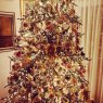 Strinky's Christmas tree from Split, Croatia, EU