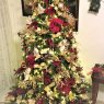 Árbol de Navidad de Thomas J Moyer (Altoona, PA.)