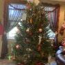 Weihnachtsbaum von COVID tree 2020 (Lutz Florida )