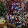 Árbol de Navidad de Colorful Christmas Surroundings (Frankfort, KY, USA)