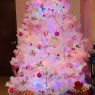 Celia Perez's Christmas tree from Ciudad de Mexico