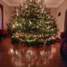 Árbol de Navidad de The Griswold! (Syracuse, New York, USA)